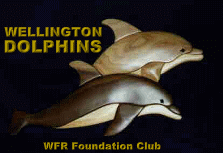 logo1